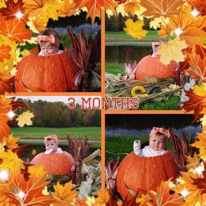 Meet your Posher, Ron